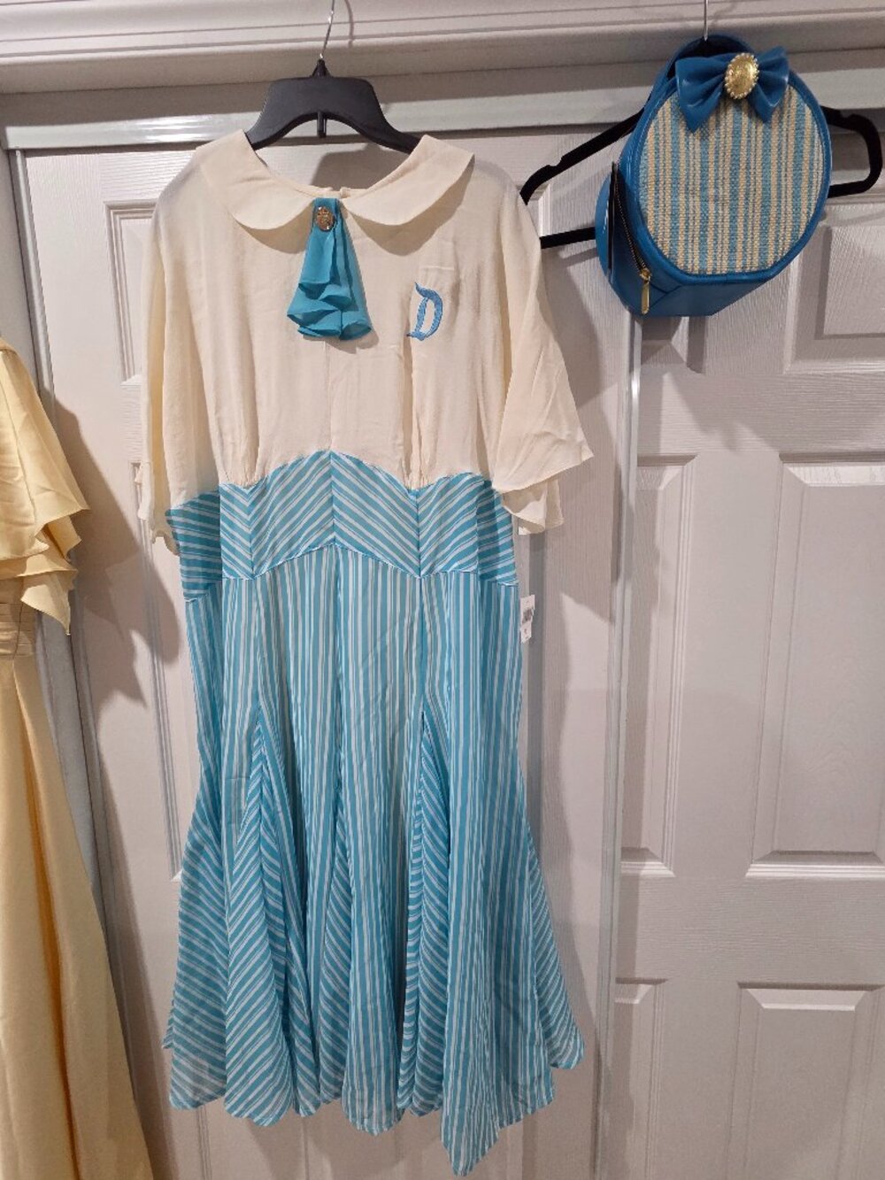 Dapper Disneyland dress and purse